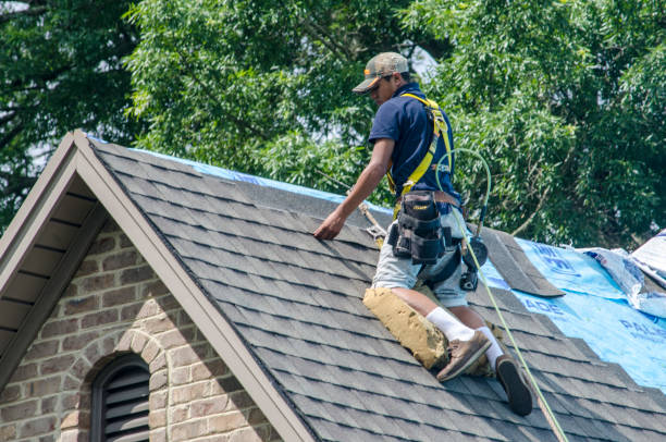 Best Roof Maintenance Services  in Kensington, CA